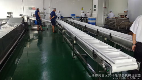 食品行業專用輸送線定制解決方案 高效、衛生、多功能